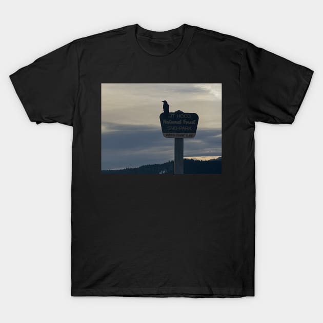 Mt hood beauty T-Shirt by Vomit Cult